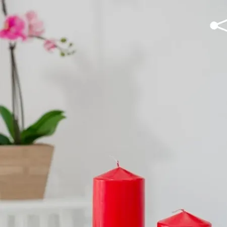 Tatil parkı Con Piscina *